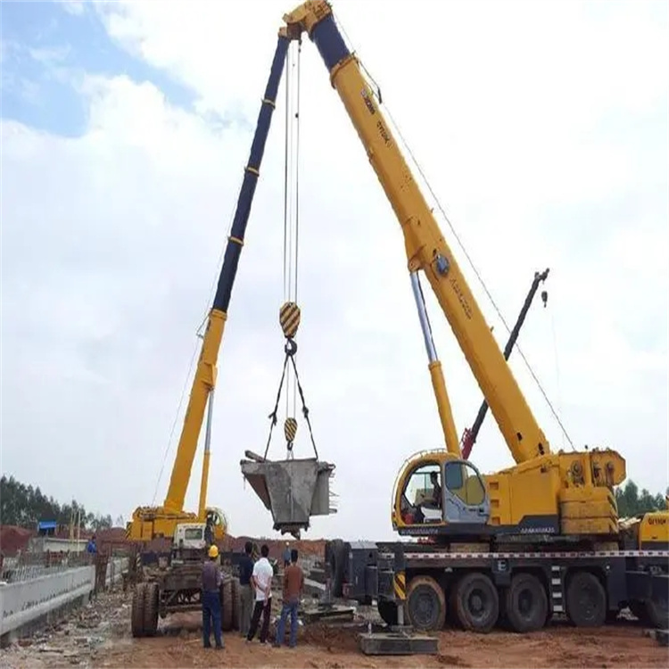 连南小型吊机出租电话|厂房设备吊装方案|24小时服务覆盖